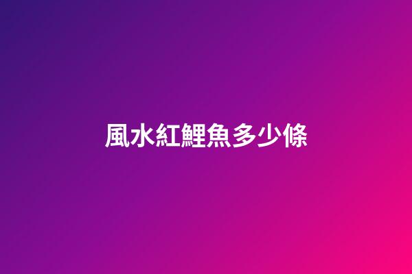 風水紅鯉魚多少條