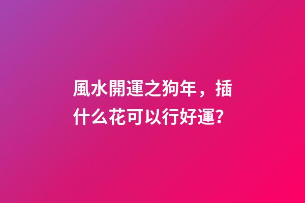 風水開運之狗年，插什么花可以行好運？