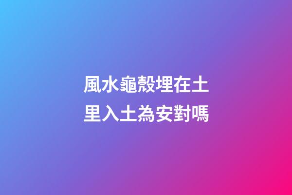 風水龜殼埋在土里入土為安對嗎