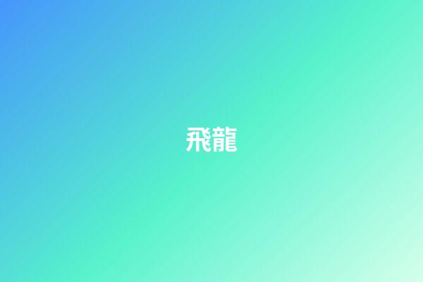 飛龍