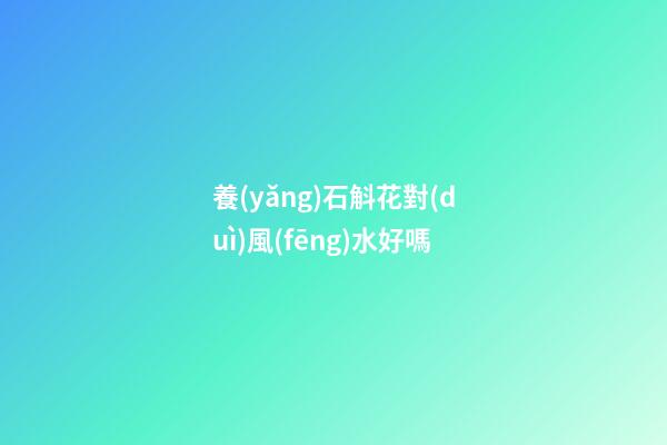 養(yǎng)石斛花對(duì)風(fēng)水好嗎