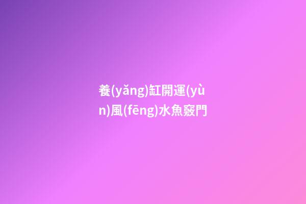 養(yǎng)缸開運(yùn)風(fēng)水魚竅門