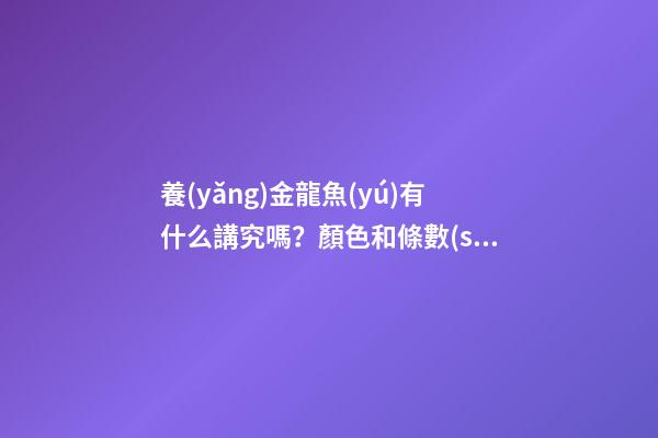 養(yǎng)金龍魚(yú)有什么講究嗎？顏色和條數(shù)有不同的寓意