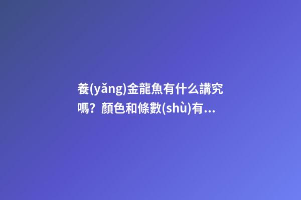 養(yǎng)金龍魚有什么講究嗎？顏色和條數(shù)有不同的寓意