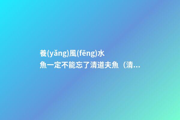 養(yǎng)風(fēng)水魚一定不能忘了清道夫魚（清道夫魚是風(fēng)水魚嗎）