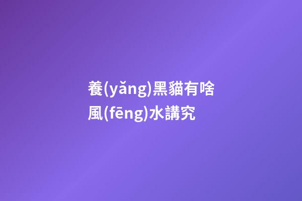 養(yǎng)黑貓有啥風(fēng)水講究