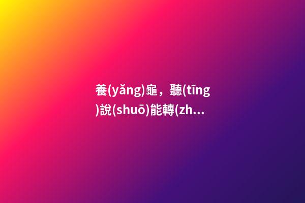 養(yǎng)龜，聽(tīng)說(shuō)能轉(zhuǎn)運(yùn)！