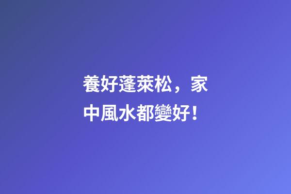 養好蓬萊松，家中風水都變好！