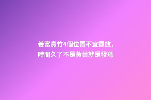 養富貴竹4個位置不宜擺放，時間久了不是黃葉就是發蔫