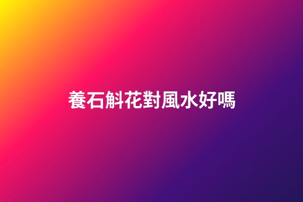 養石斛花對風水好嗎