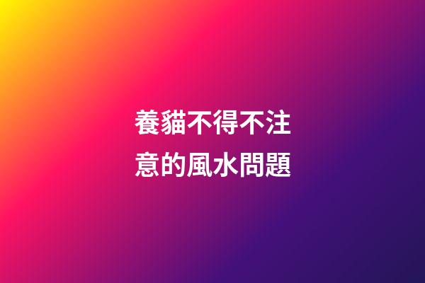 養貓不得不注意的風水問題