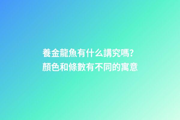 養金龍魚有什么講究嗎？顏色和條數有不同的寓意