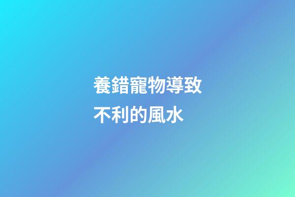 養錯寵物導致不利的風水