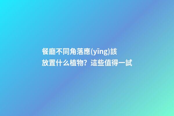 餐廳不同角落應(yīng)該放置什么植物？這些值得一試
