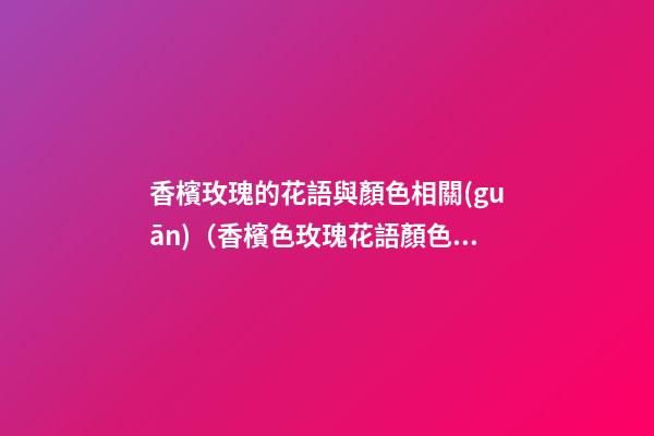 香檳玫瑰的花語與顏色相關(guān)（香檳色玫瑰花語顏色代表什么）