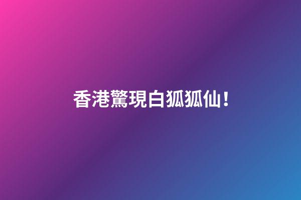 香港驚現白狐狐仙！