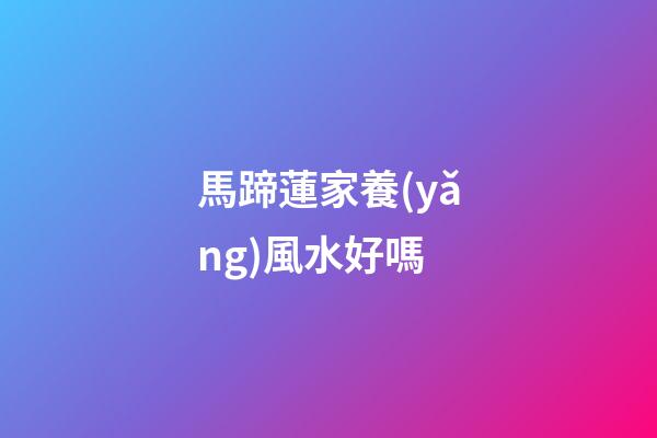 馬蹄蓮家養(yǎng)風水好嗎
