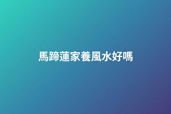 馬蹄蓮家養風水好嗎