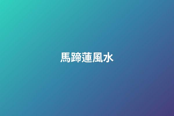 馬蹄蓮風水