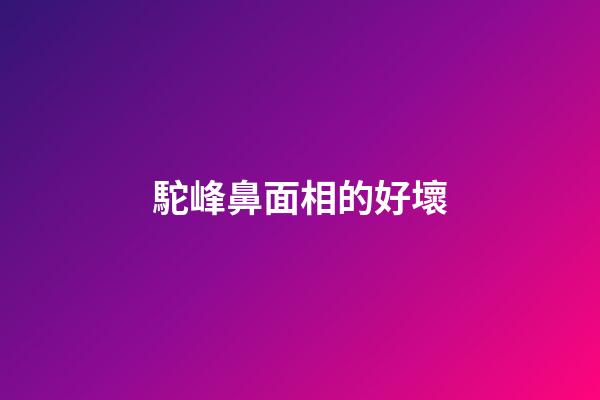 駝峰鼻面相的好壞