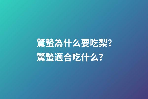 驚蟄為什么要吃梨？驚蟄適合吃什么？