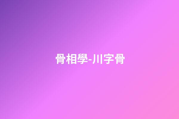 骨相學-川字骨