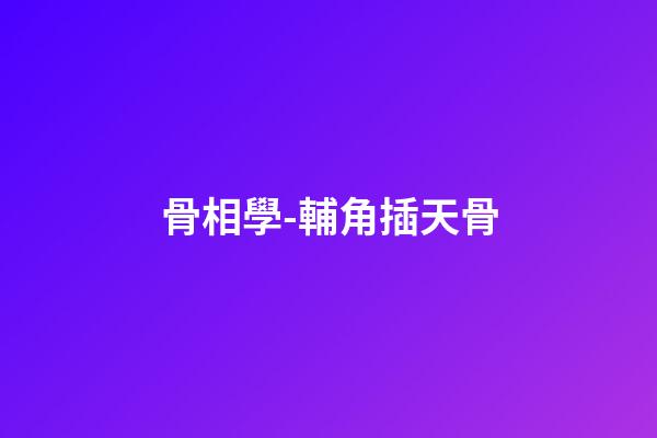 骨相學-輔角插天骨