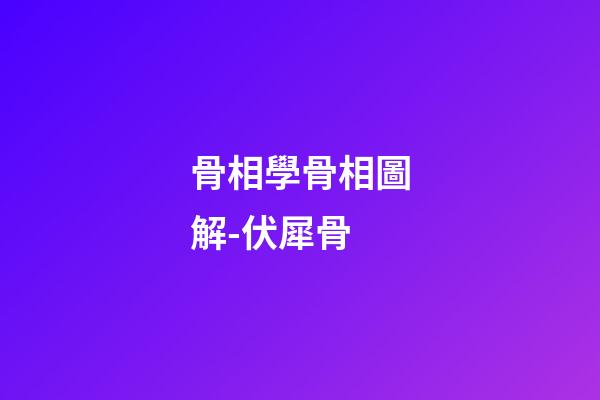 骨相學骨相圖解-伏犀骨