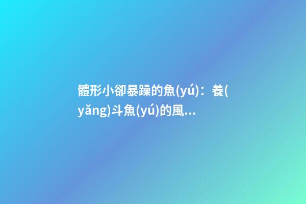 體形小卻暴躁的魚(yú)：養(yǎng)斗魚(yú)的風(fēng)水如何