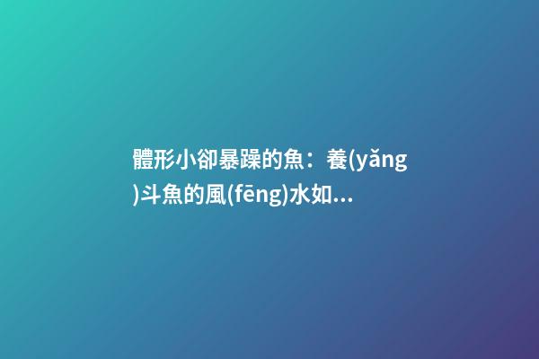 體形小卻暴躁的魚：養(yǎng)斗魚的風(fēng)水如何