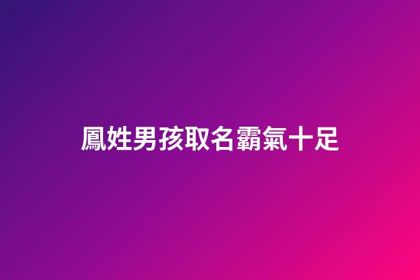 鳳姓男孩取名霸氣十足(鳳姓好聽的名字)-第1張-男孩起名-玄機(jī)派