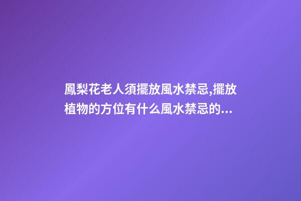 鳳梨花老人須擺放風水禁忌,擺放植物的方位有什么風水禁忌的呢