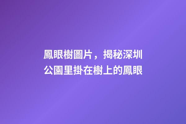 鳳眼樹圖片，揭秘深圳公園里掛在樹上的鳳眼-第1張-觀點-玄機派