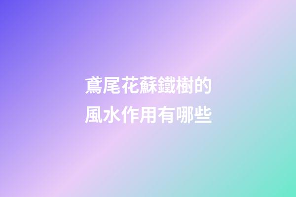 鳶尾花蘇鐵樹的風水作用有哪些?