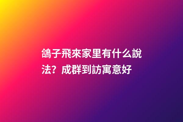 鴿子飛來家里有什么說法？成群到訪寓意好