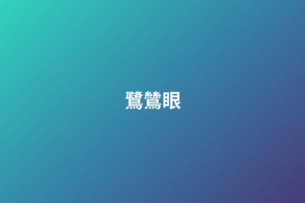 鷺鷥眼