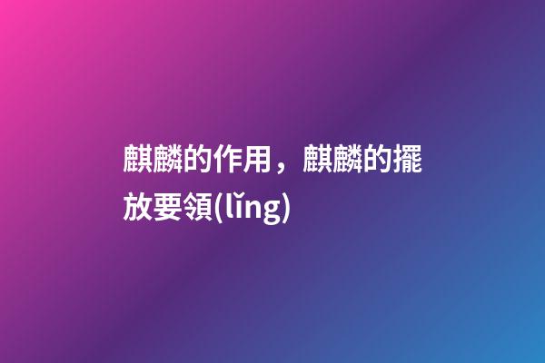 麒麟的作用，麒麟的擺放要領(lǐng)