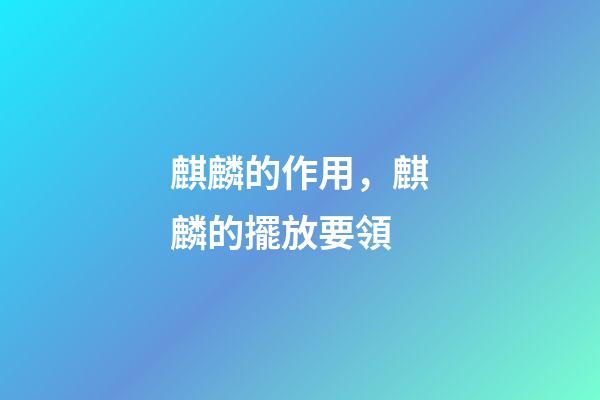 麒麟的作用，麒麟的擺放要領