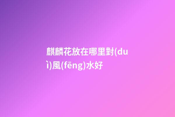 麒麟花放在哪里對(duì)風(fēng)水好