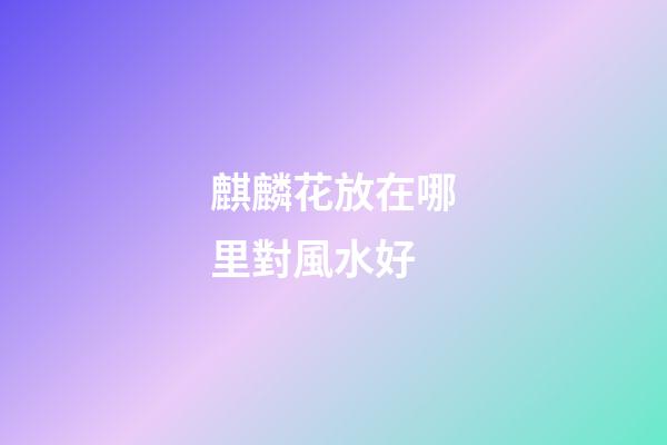 麒麟花放在哪里對風水好