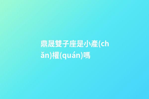 鼎晟雙子座是小產(chǎn)權(quán)嗎