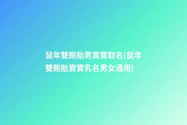 鼠年雙胞胎男寶寶取名(鼠年雙胞胎寶寶乳名男女通用)