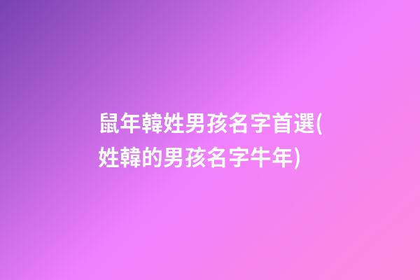 鼠年韓姓男孩名字首選(姓韓的男孩名字牛年)