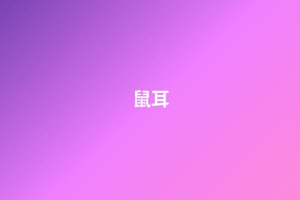 鼠耳