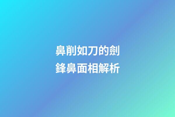 鼻削如刀的劍鋒鼻面相解析