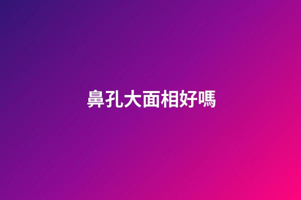 鼻孔大面相好嗎