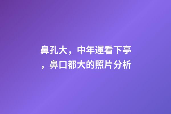 鼻孔大，中年運看下亭，鼻口都大的照片分析