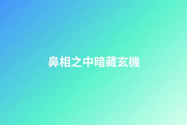 鼻相之中暗藏玄機