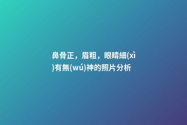 鼻骨正，眉粗，眼睛細(xì)有無(wú)神的照片分析