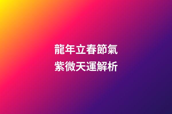 龍年立春節氣紫微天運解析